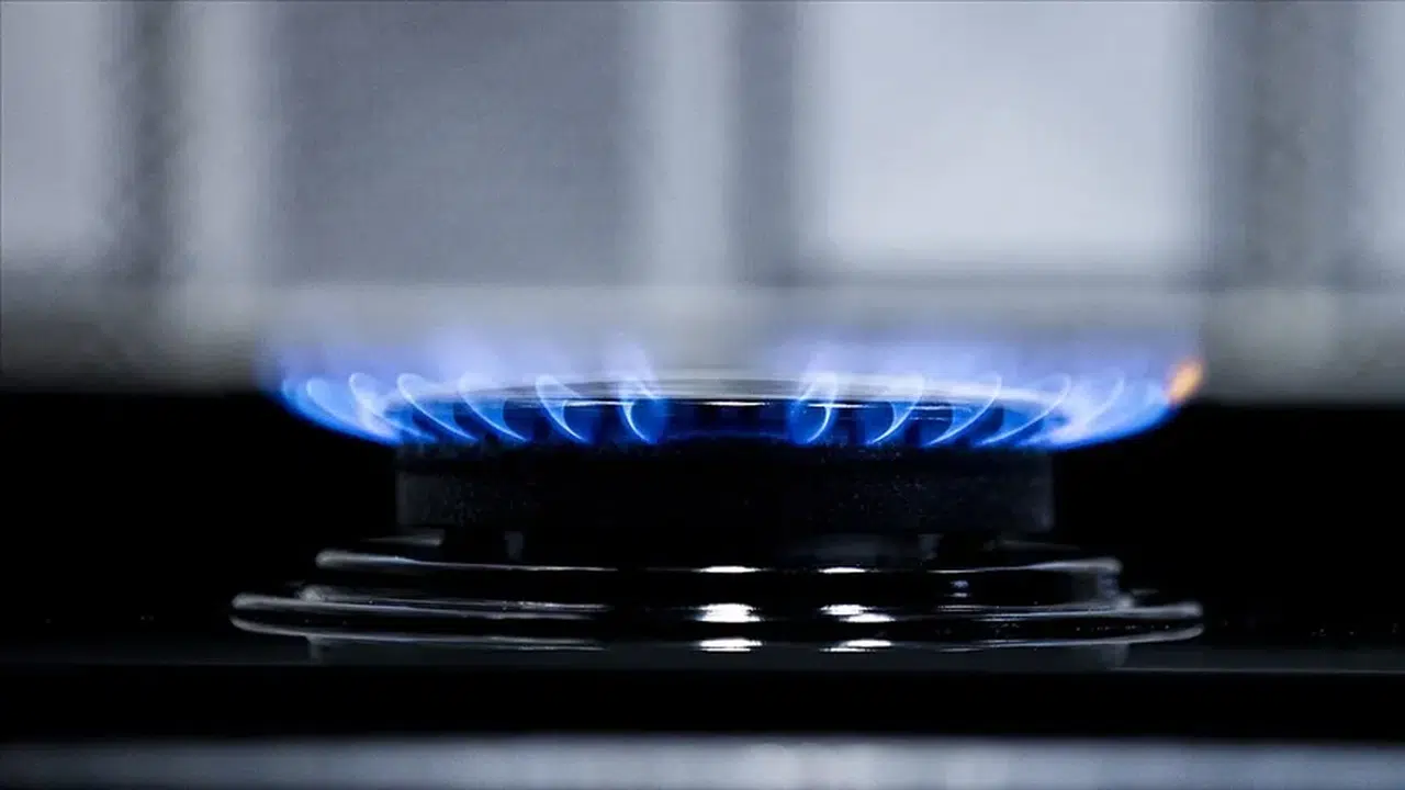 Nisanda fiyatı en çok artan doğal gaz oldu!