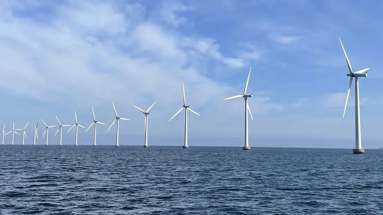 Deniz üstü rüzgar enerjisine dayalı aday YEKA kapsamında 4 bölge belirlendi!