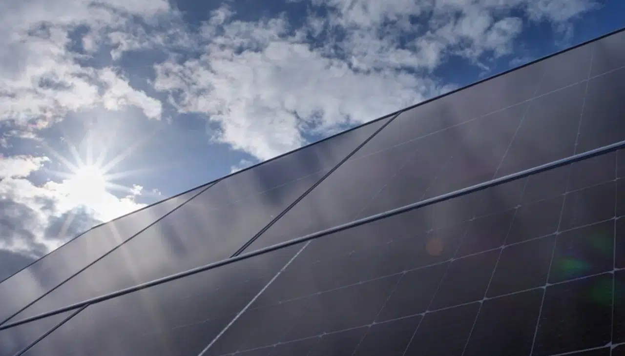 Yenilenebilir enerjide dev atılım: Yeşil güç yüzde 60 barajını aştı