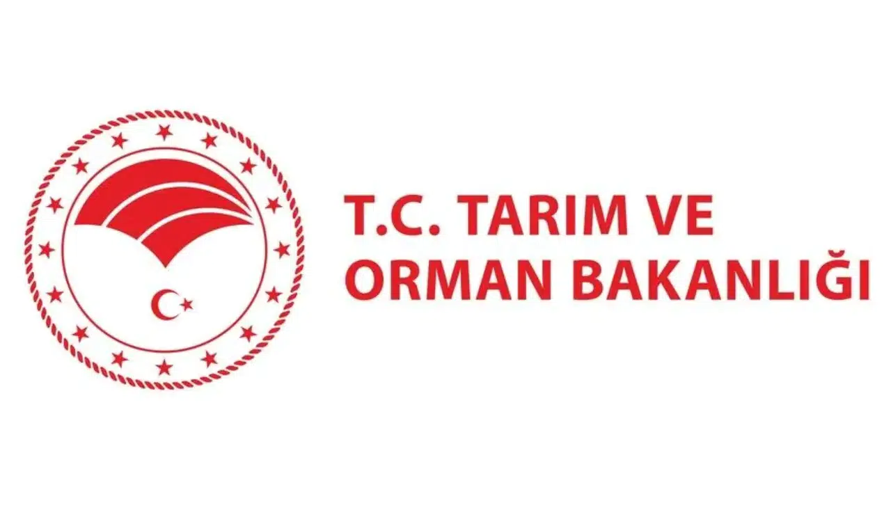 Bakanlık inceledi, türü teşhis edildi: Marmara’daki çekirge gizemi çözüldü