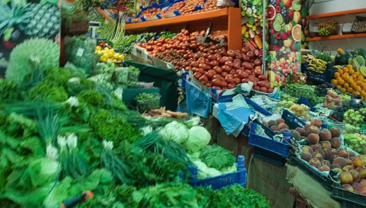 Ege'de yaş meyve sebze ihracatı 572 milyon dolara ulaştı