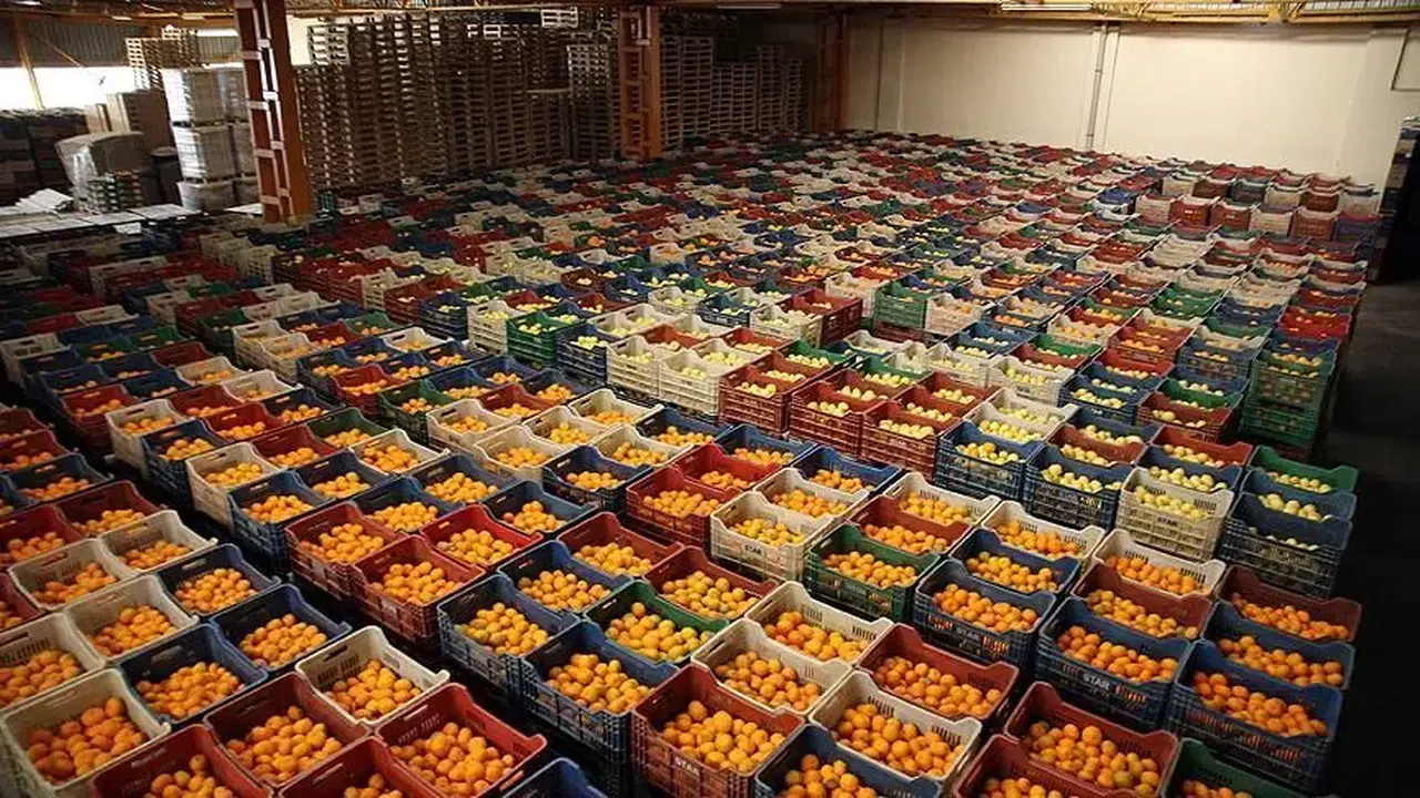 Bursa'da yaş meyve ve sebze ihracatını artırmak için özel çalışma grubu oluşturulacak