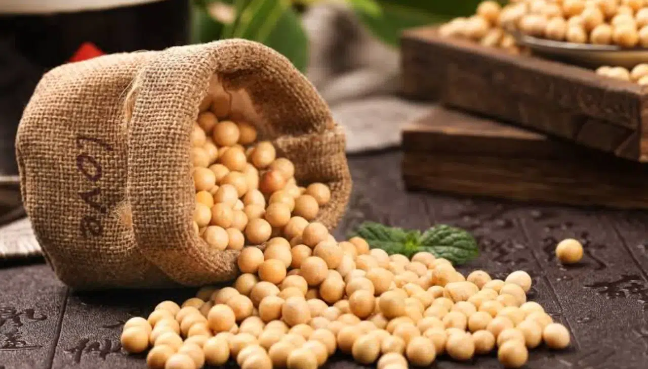 Soya fasulyesi fiyatları 26 ayın zirvesine ulaştı
