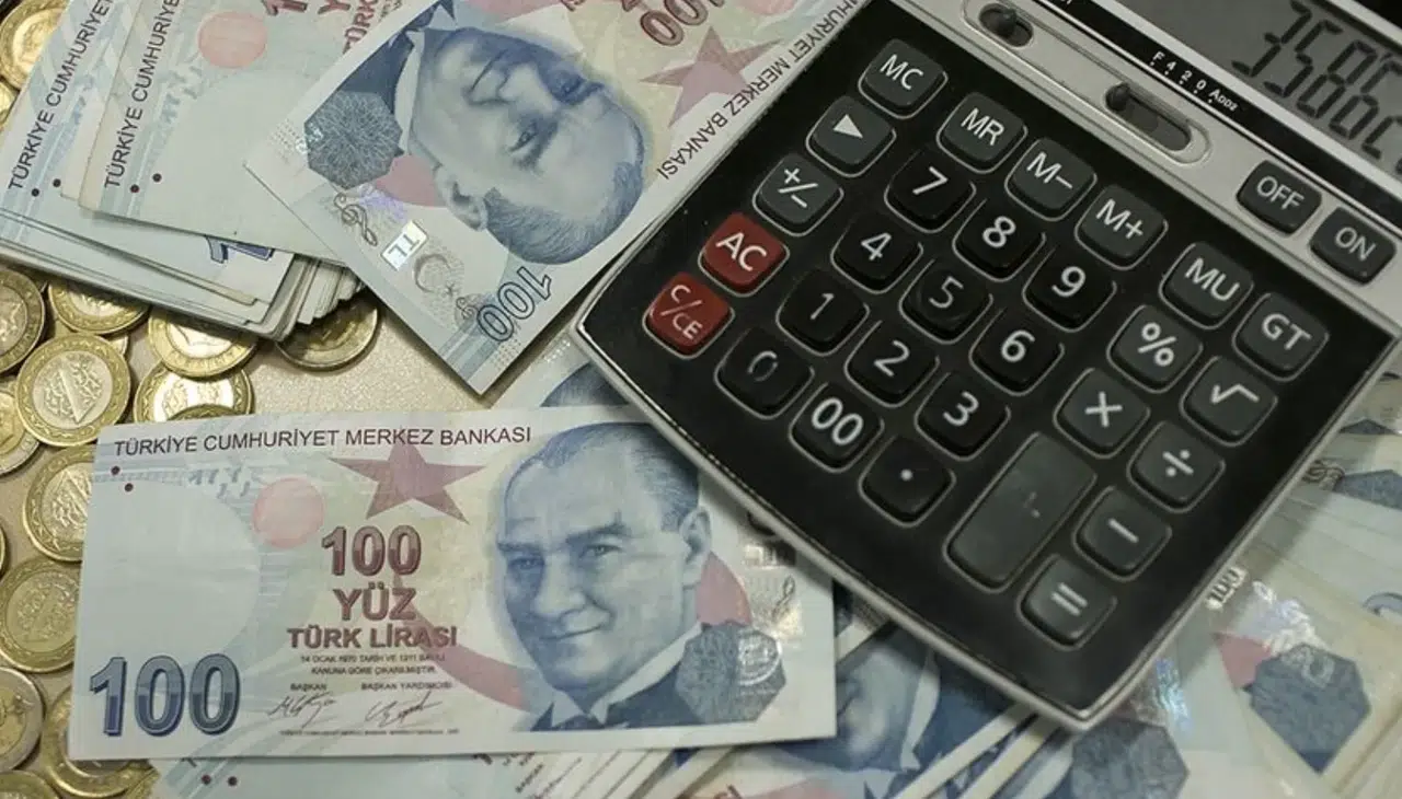 Bireysel emeklilik sistemindeki birikimler 2,4 trilyon lirayı geçti