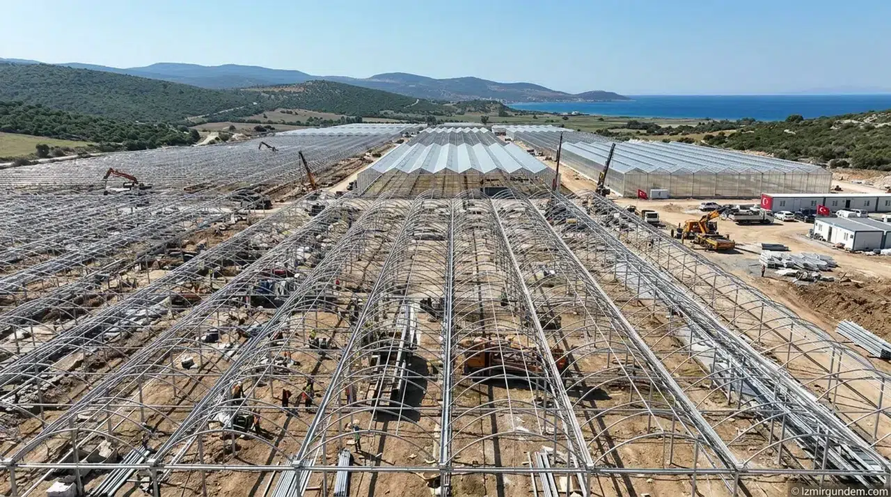 İzmir Dikili'de jeotermal kaynaklı sera organize tarım bölgesi kurulacak