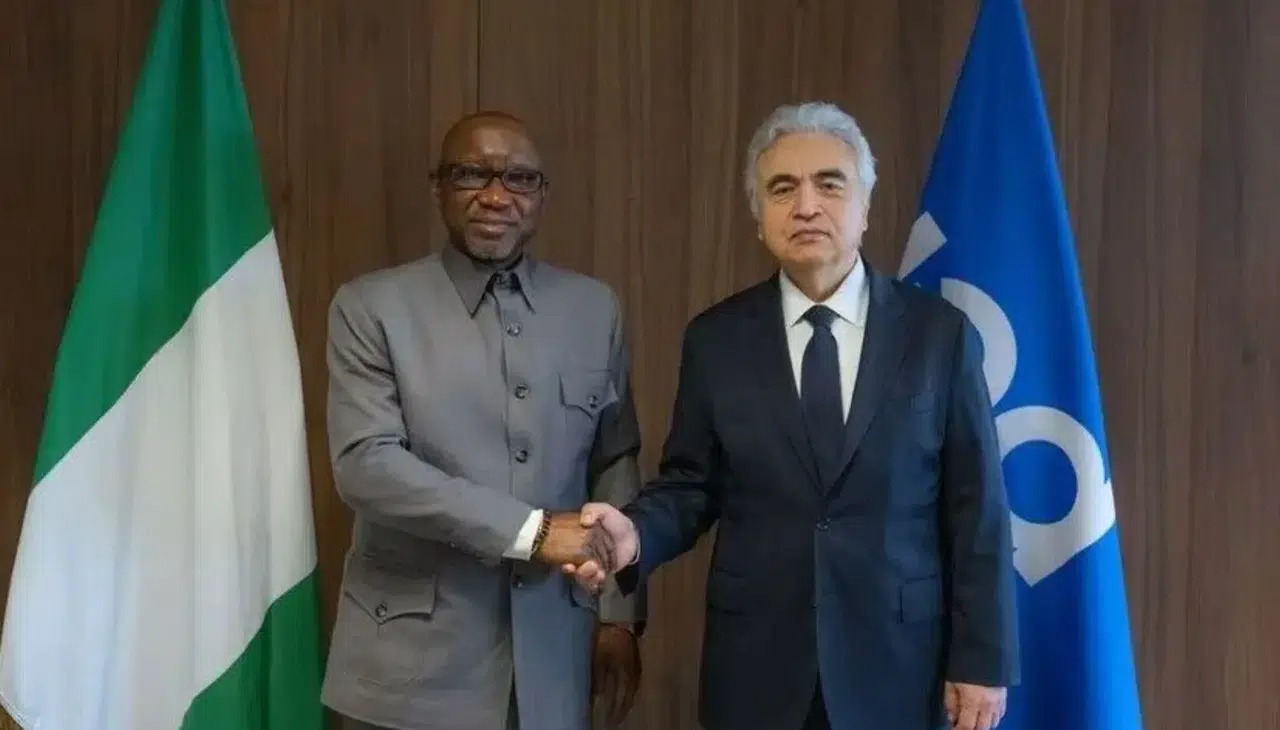 Enerji piyasalarında dev adım: Afrika’nın devi Uluslararası Enerji Ajansı'na katıldı