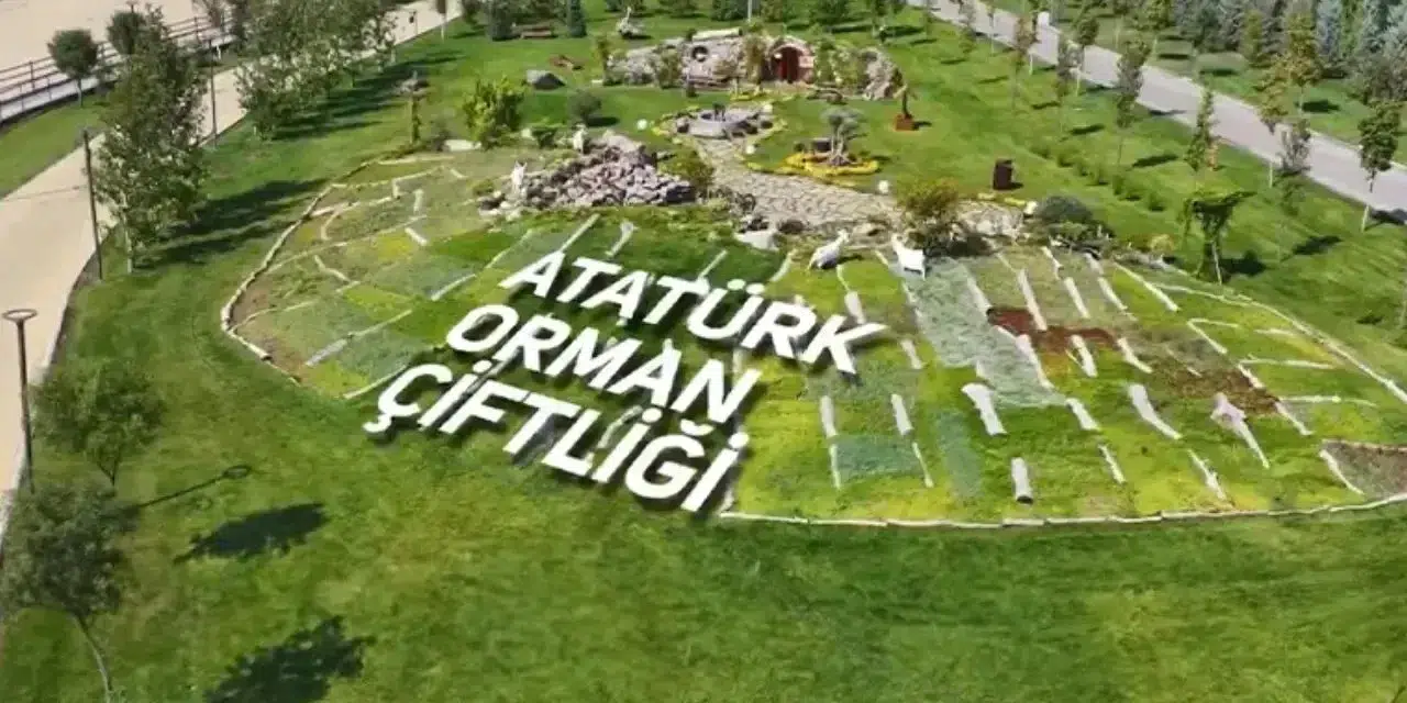 Ankara'da depo ihtiyacına cevap: Atatürk Orman Çiftliği'ndeki taşınmazlar kiralanıyor