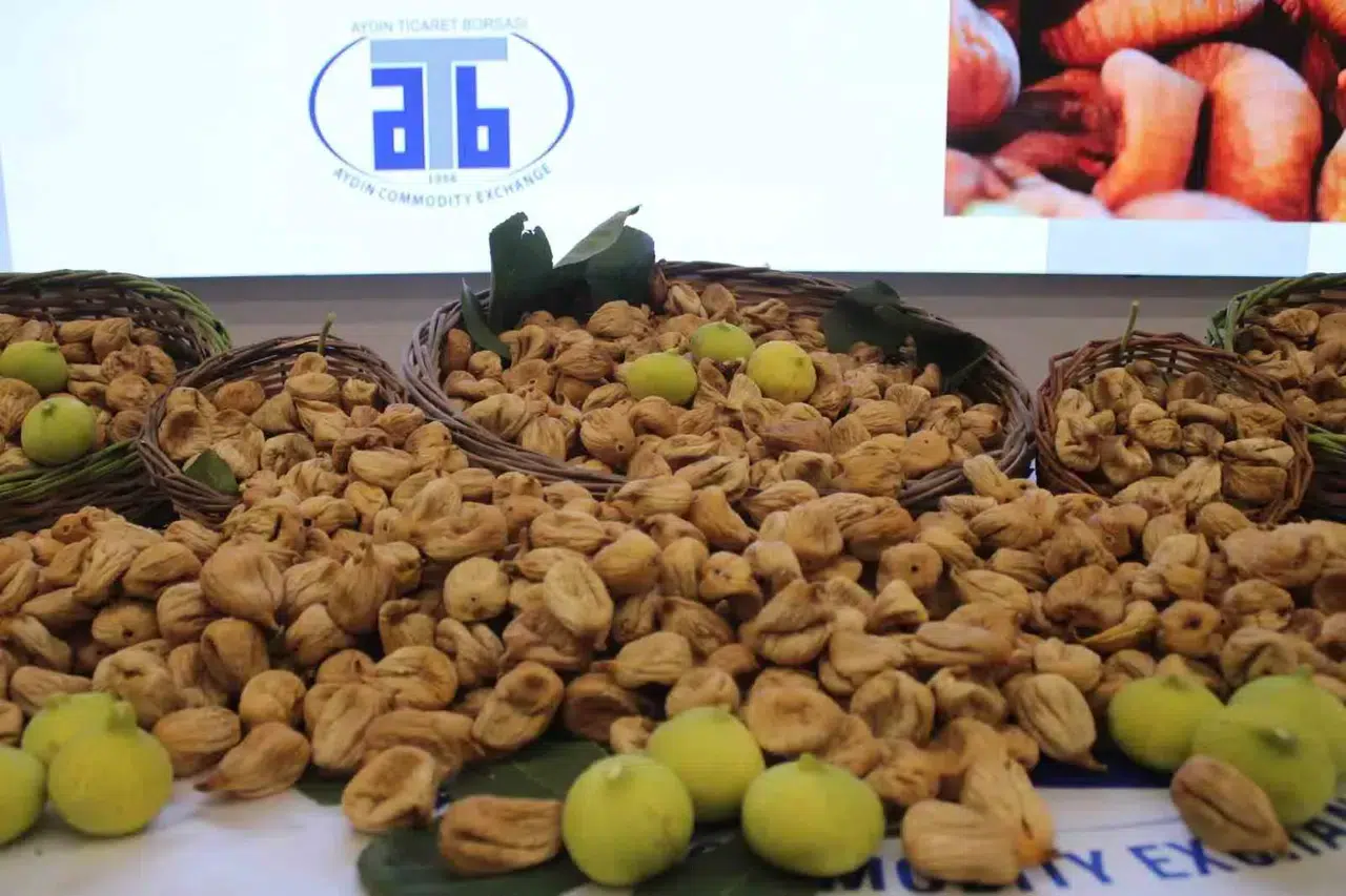 Aydın'da sezonun ilk kuru inciri 850 liradan alıcı buldu