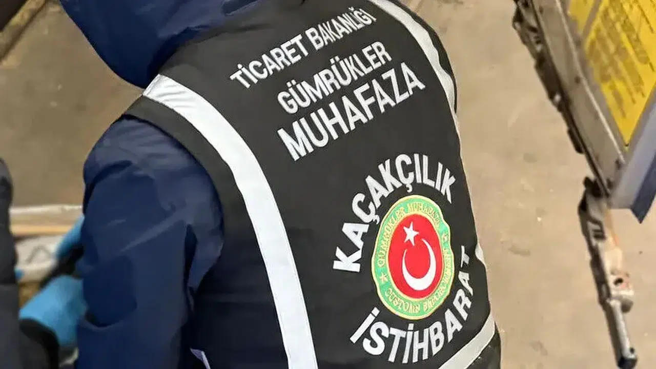 Gümrüklerde 58 binden fazla canlı hayvan kurtarıldı