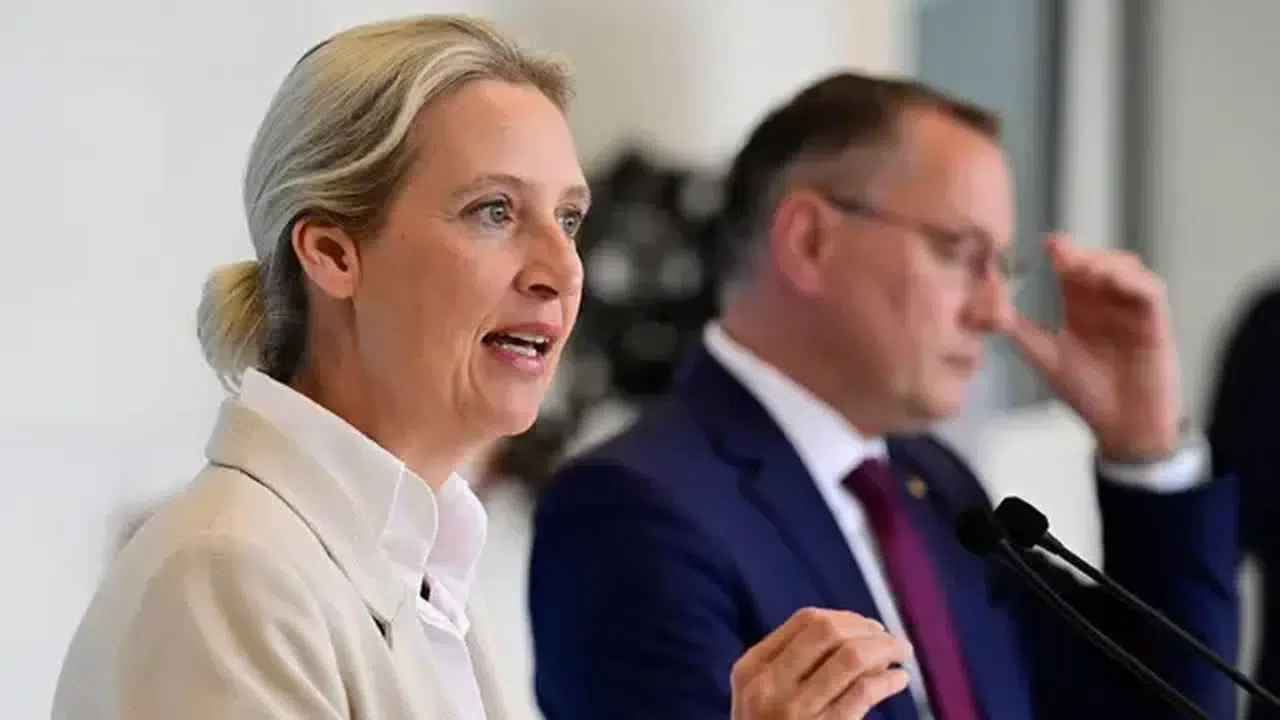 Almanya'da elektrik fiyatlarındaki artış aşırı sağcı AfD'ye desteği yükseltti