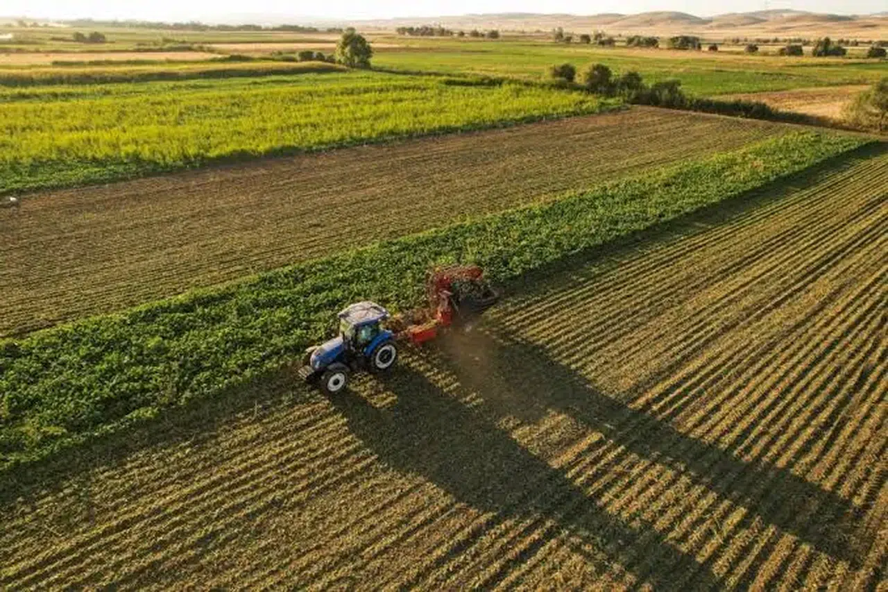 Tekirdağ'daki çiftçiler, parsel bazlı verim sigortası ile risklere karşı korunuyor