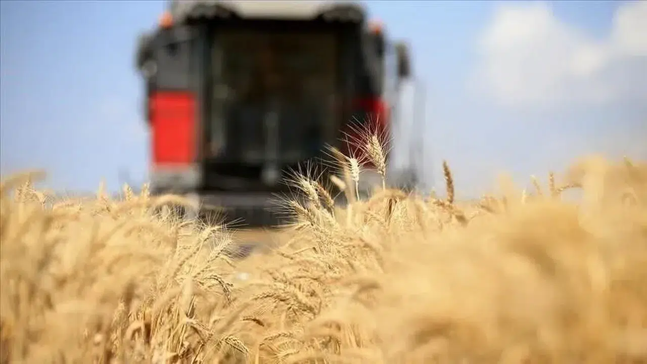 Küresel gıda fiyatları 3,5 yıl sonra zirveye ulaştı