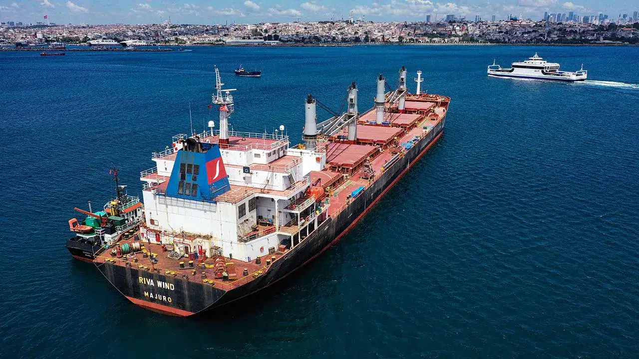 Karadeniz'deki tahıl terminalinin onarımı dört ay sürebilir