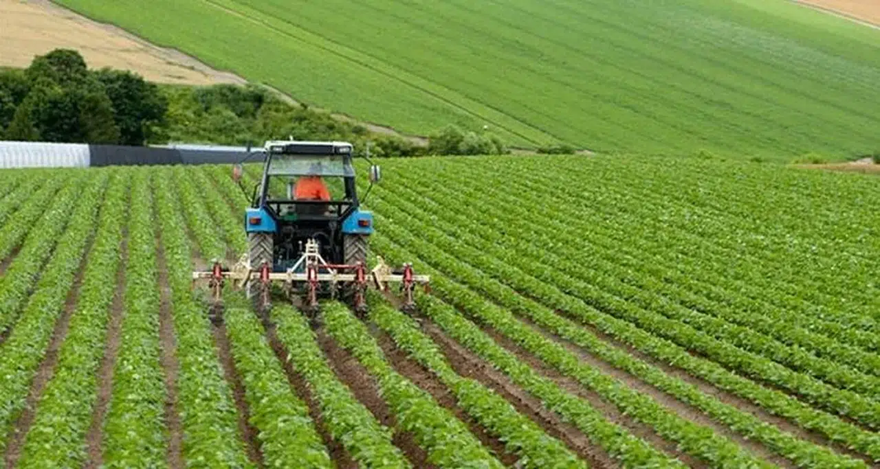 Tarım Bakanlığı, tüketicinin korunması için 6 ayda 13,1 milyar lira harcadı