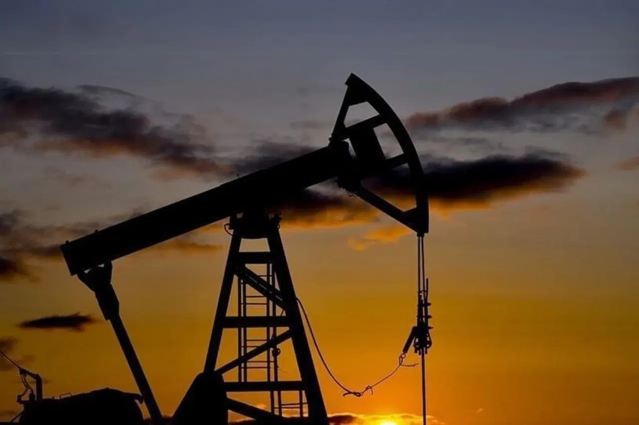 Erzincan'da petrol arama ruhsatı: Wali Petrol Limited Şirketi'ne yeni fırsatlar