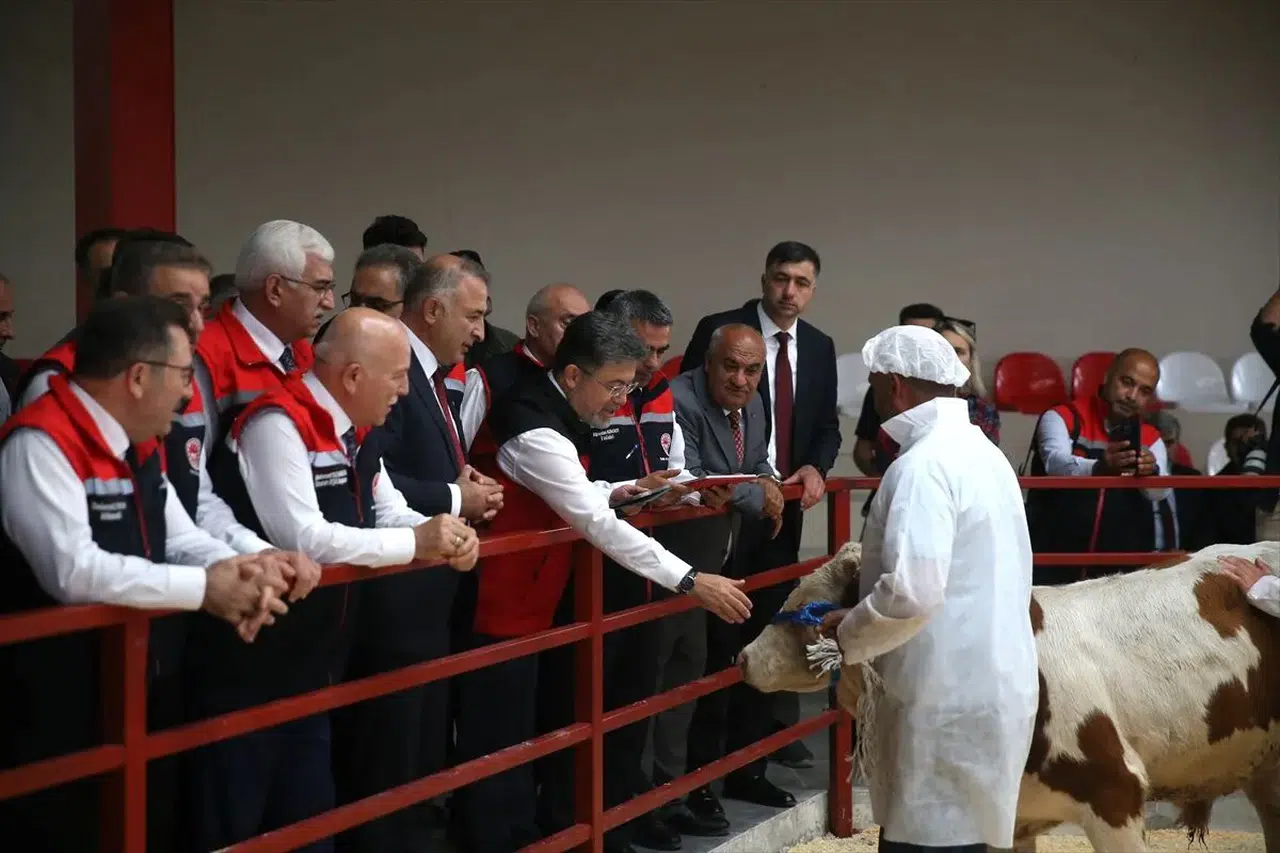 Hayvancılıkta aşı ve küpe ücretleri tamamen kaldırıldı