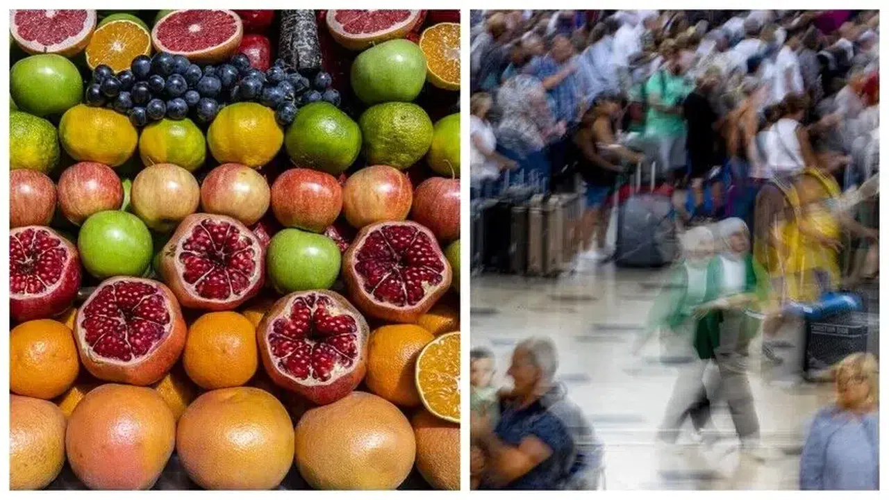 TÜİK ağustos raporunu açıkladı: Fiyatı en çok artan ve düşen ürünler