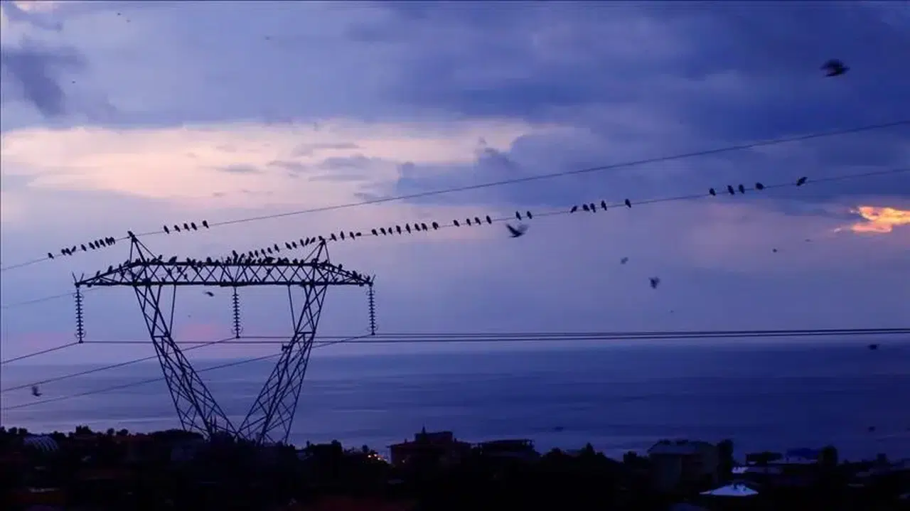Spot piyasada elektrik fiyatları yükselmeye devam ediyor