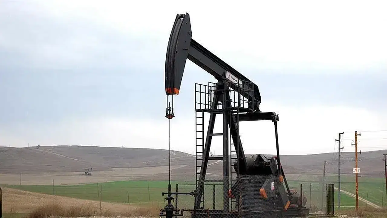 TPAO, Şırnak ve Batman'daki petrol arama ruhsatlarını iki yıl daha uzattı