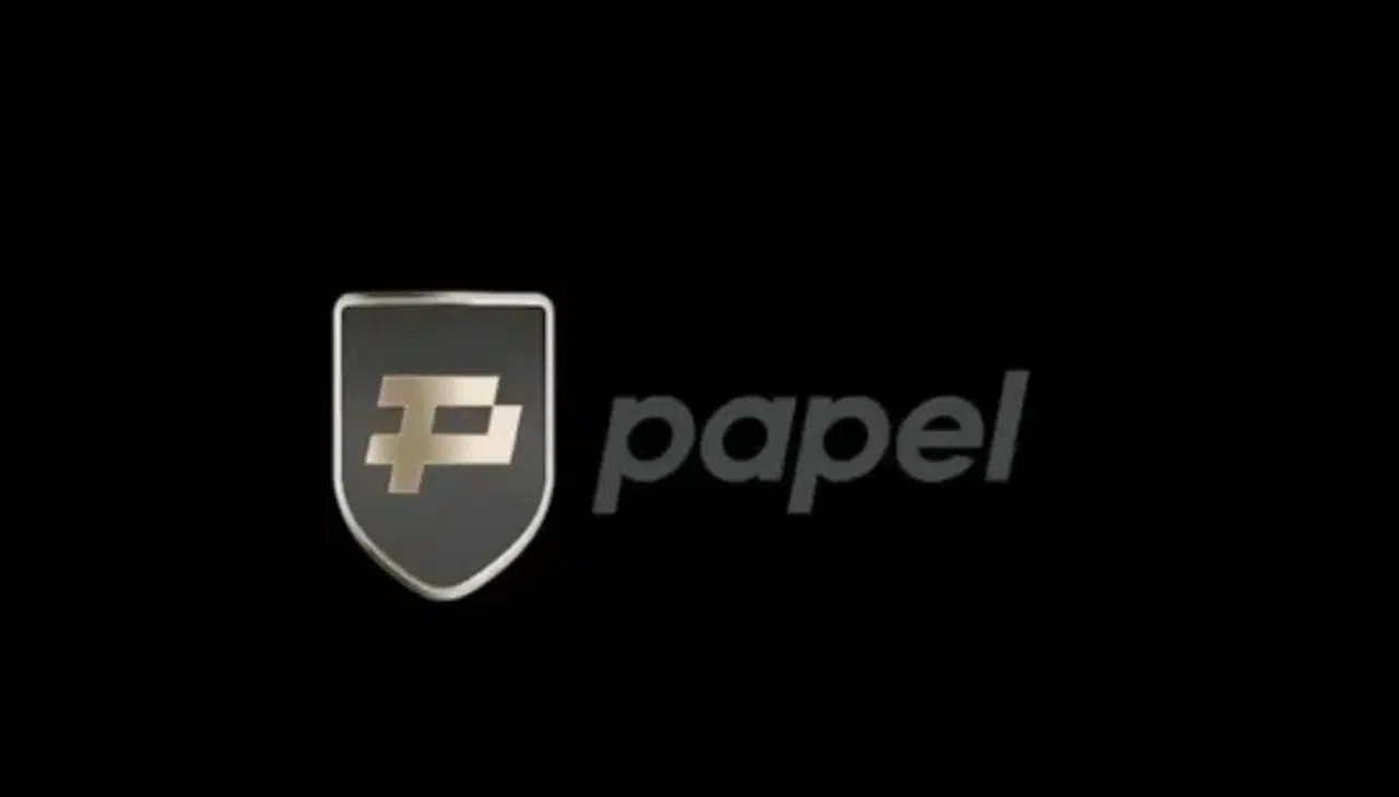 Papel Elektronik Para ve Ödeme Hizmetleri'nin faaliyet izni iptal edildi