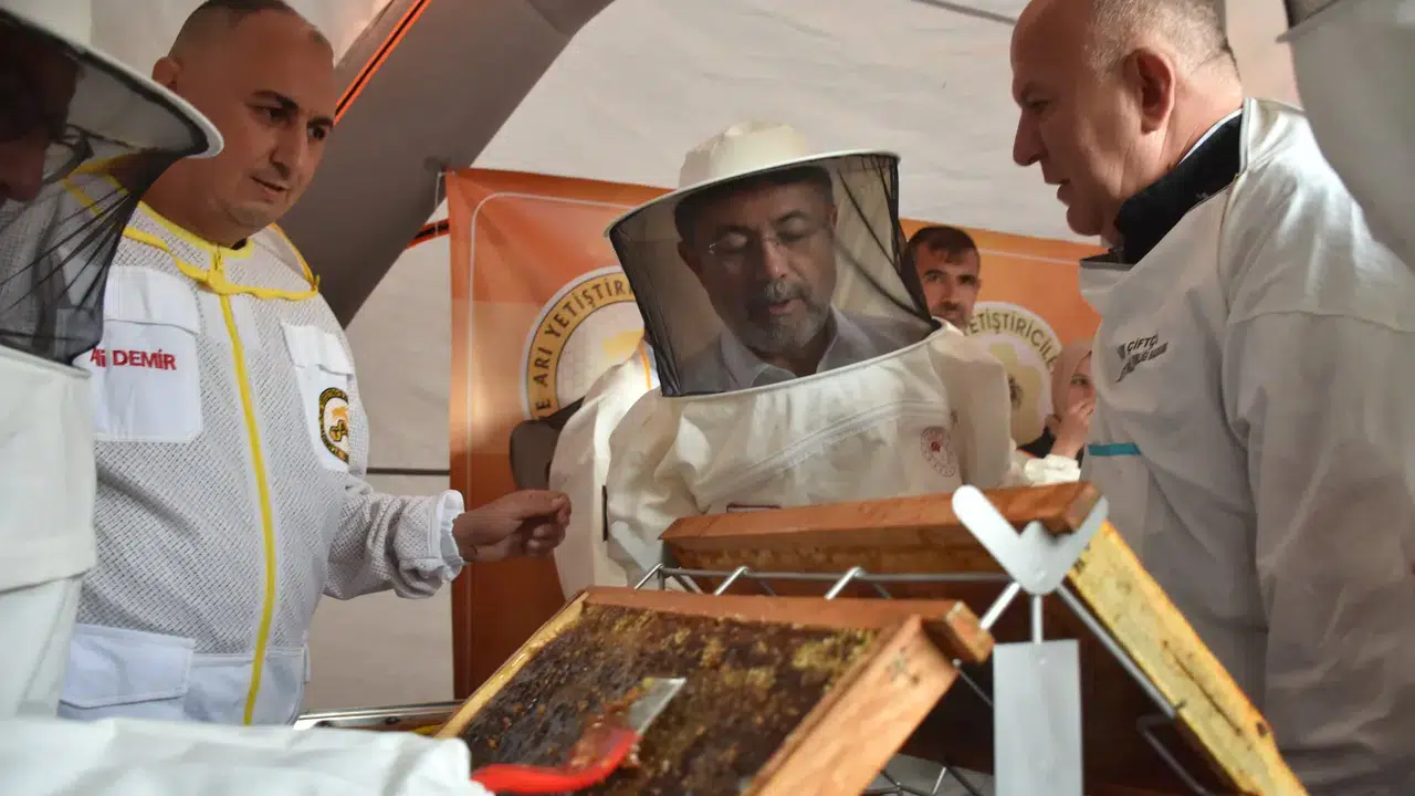 Sivas'ta bal sağımı programında önemli mesajlar: Türkiye bal üretiminde ikinci sırada