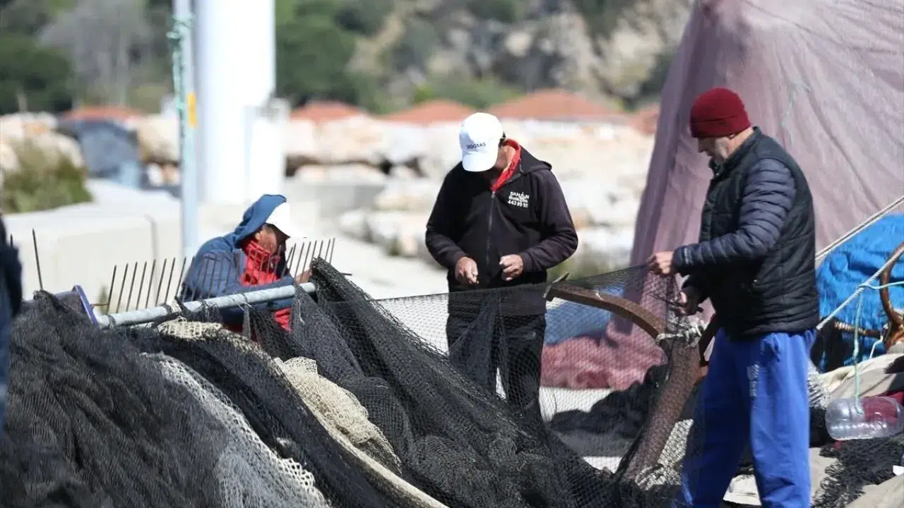 İzmir'de su ürünleri av sezonu açıldı: İhracat rakamları yeni bir rekora koşuyor