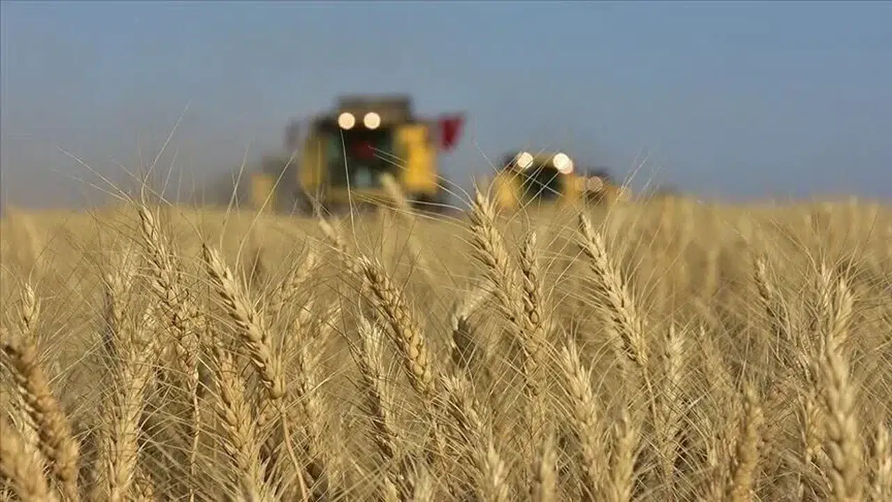 Hububat ve haşhaş ödemeleri hesaplara yatıyor