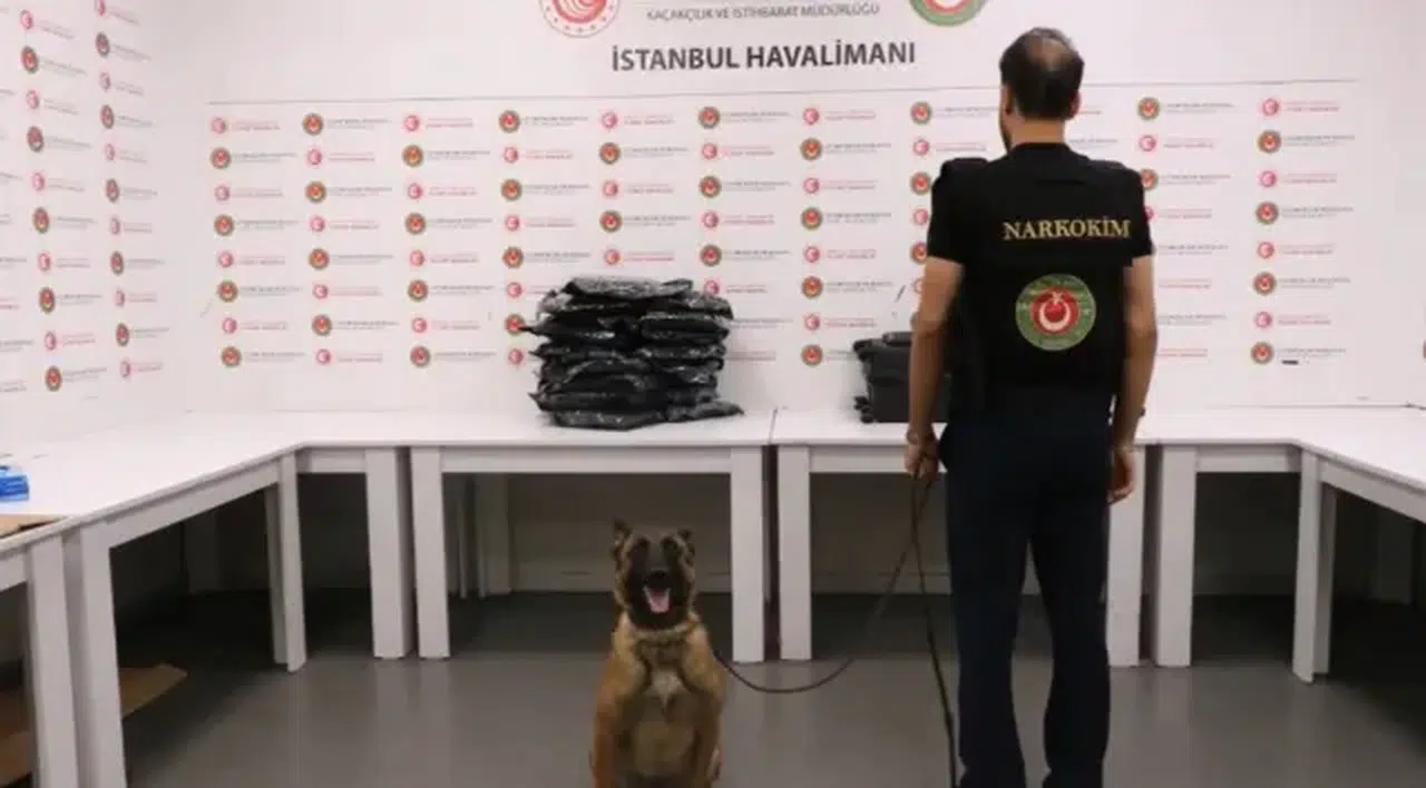 İstanbul Havalimanı'nda 20,3 kilogram uyuşturucu ele geçirildi