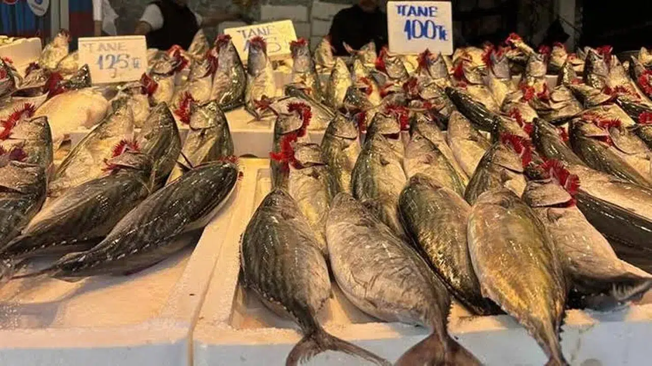 Trabzon'da palamut tanesi 100-125 lira arasında satışta