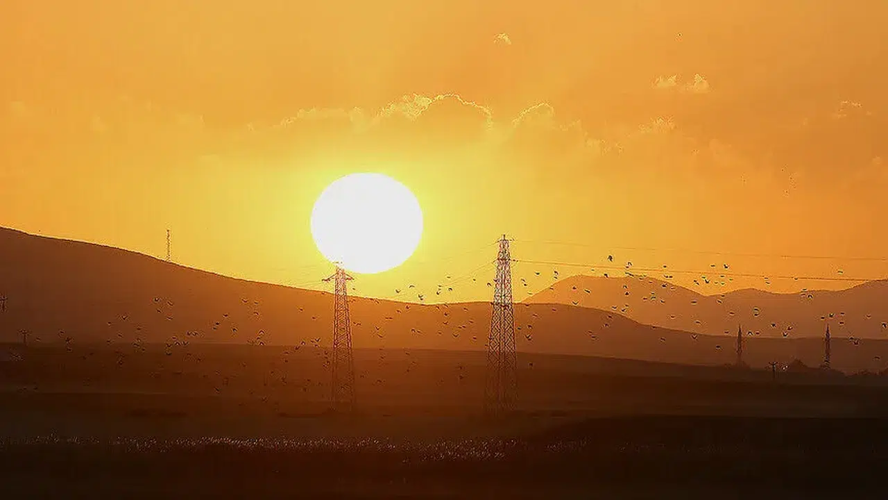 Türkiye'deki kuş göç yollarında elektrik hatları için alınan önlemler