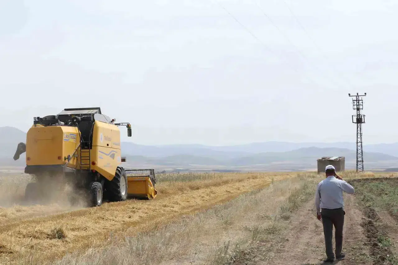 Erzurum’un tarımında devrim: İlk biçerdöverler hasat yükünü hafifletiyor