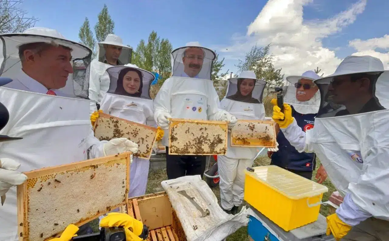 Ardahan çiçek balının son hasadı yapıldı