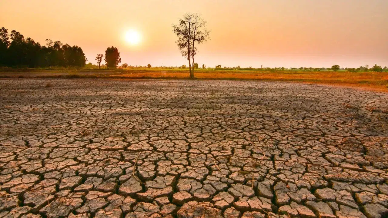 Mega El Nino'nun emtia piyasasındaki etkisi artacak