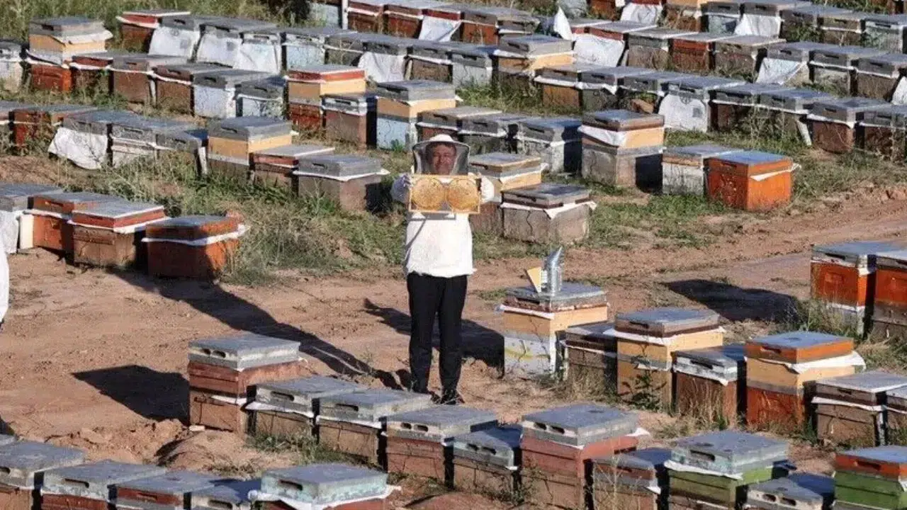 2026 yılı bal üretimi beklentisi 97-100 bin ton olarak açıklandı