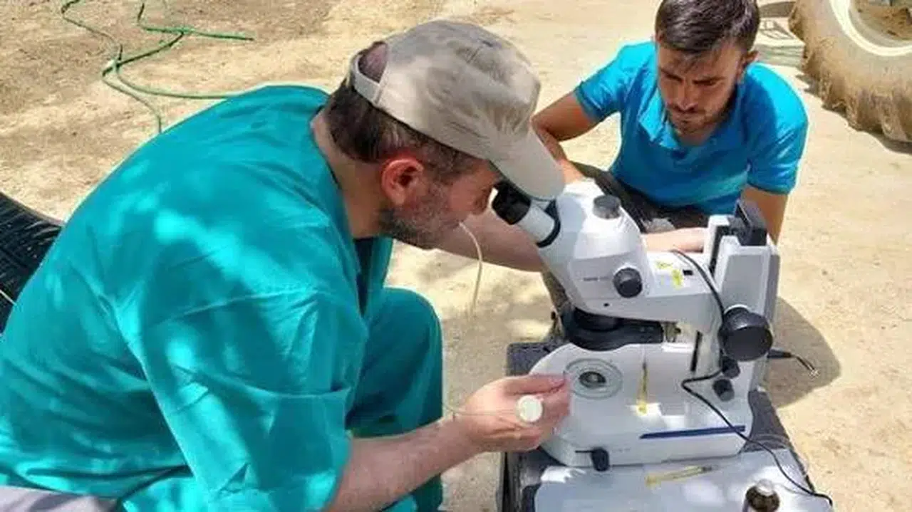 Beta-laktoglobulin süt proteininin ihracat şartıyla üretimi kararlaştırıldı