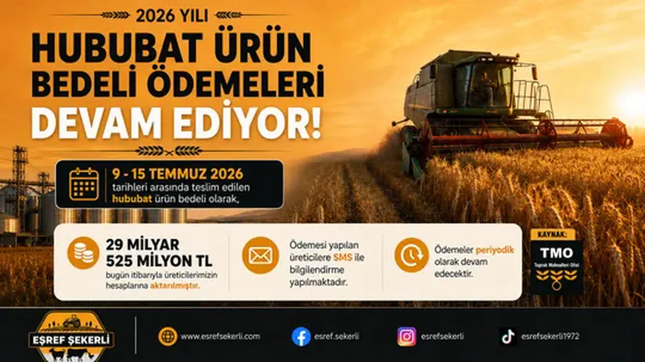 TMO, üreticilerin hesaplarına ödemelere devam ediyor