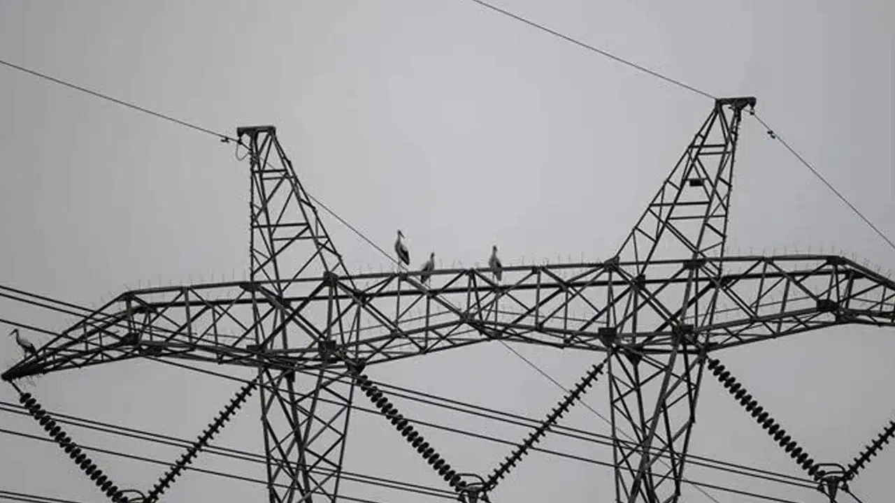 Spot piyasada elektrik fiyatları yarın için belirlendi