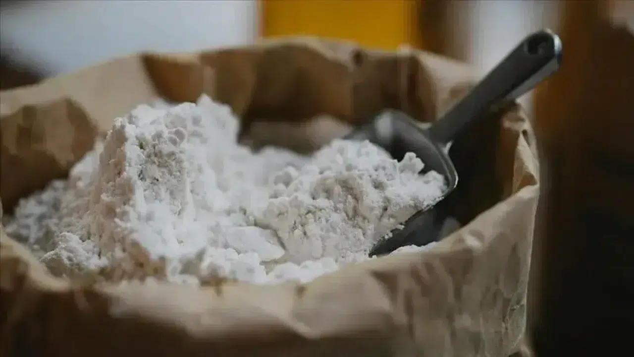 Un sektörünün küresel aktörleri Taşkent'te buluşuyor