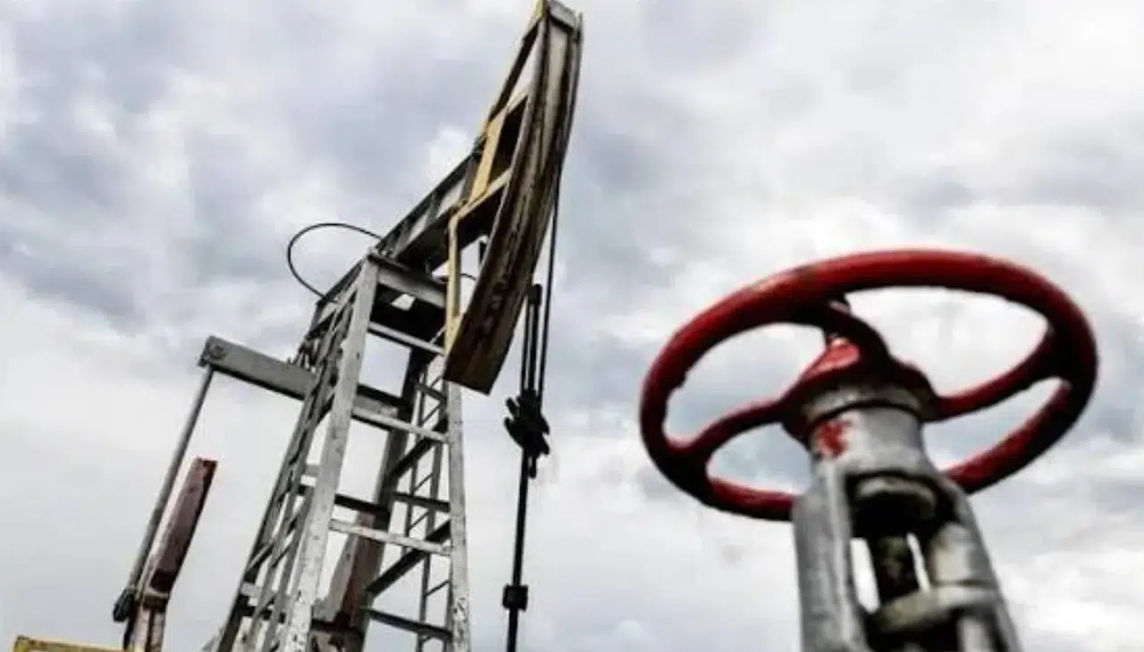 Türkiye'nin petrol ithalatı ağustosta yüzde 2,33 arttı