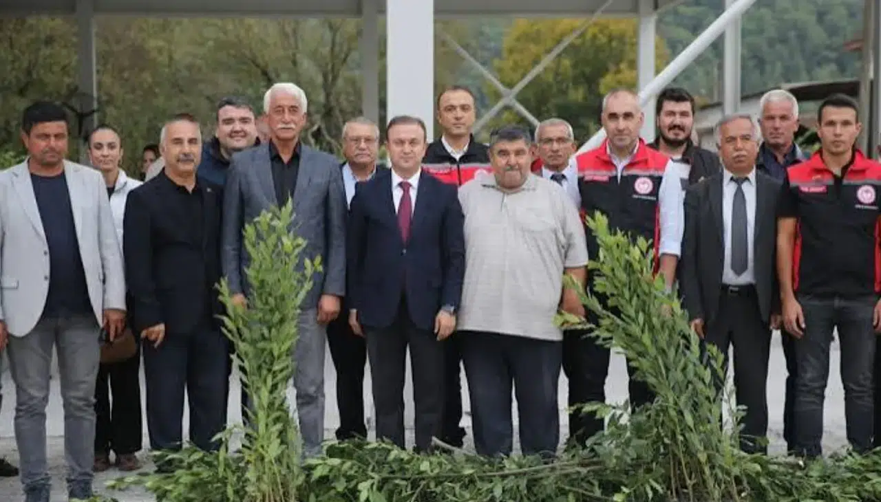 Muğla'da kadın çiftçilerle defne üretimi destekleniyor