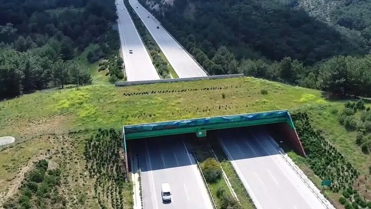 Türkiye ulaşım ağını ekolojik köprülerle güçlendiriyor
