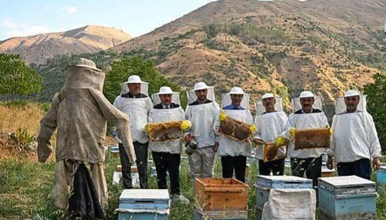 Erzurum'da yağışlar bal üretimini iki katına çıkaracak