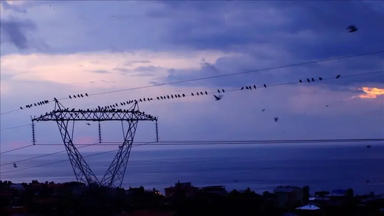Türkiye'de dün elektrik üretimi 916 bin megavatsaat, tüketim 895 bin megavatsaat oldu