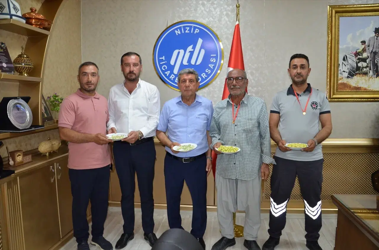 Yılın ilk boz Antep fıstığı üreticilerine altın ödül verildi