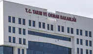 Ordu’da Hayvancılık Yatırımı: 1600 Küçükbaş Alımı İçin İhale Açıldı!
