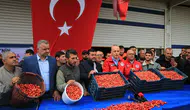 Altınla yarışan kiraz: Manisa'da ilk hasadın kilosu dudak uçuklattı!