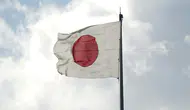 Japonya, Ukrayna destek misyonuna resmi olarak dahil oldu