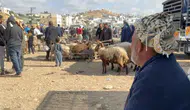 Batı Şeria’da hayvan hırsızlığı kurban pazarlarını vurdu