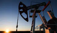 Petrolün devri bitiyor mu? Dev örgütten ezber bozan 2050 raporu