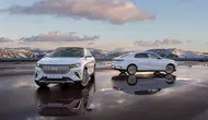 Türkiye’de elektrikli otomobil sayısı rekora koşuyor